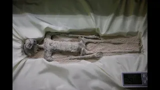 Elo Veut Savoir - Balado - Stéphanie Serres, Momies de Nazca