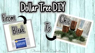 From BLEAK to CHIC Dollar Tree Diy