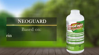 Neoguard (English version)