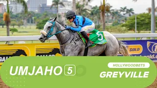 20240525 isiZulu Hollywoodbets Greyville Race 5 won by DOWN TO BUSINESS
