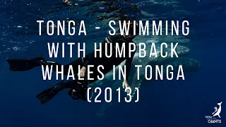 Swimming with Giants: Humpback Whales of Tonga