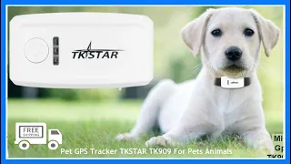Mini GPS Tracker TK STAR TK909 For Pets Animals