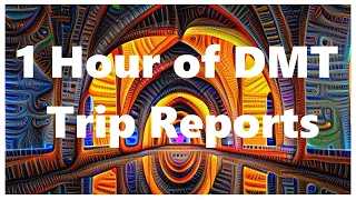 1 Hour of DMT Trip Reports