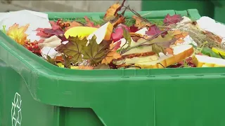 Flies, gnats, other insects inside green bins leave San Diegans frustrated