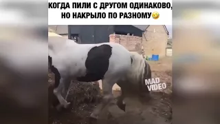 🔥 УГАР ТЕСТ НА ПСИХИКУ, КТО ЗАСМЕЕТСЯ ИЛИ УЛЫБНЕТСЯ - лайк )) ЛУЧШИЕ ТОПОВЫЕ ПРИКОЛЫ 2018