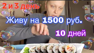 ЖИВУ НА 1500 руб. 10 дней / 2 и 3 день экономим как можем