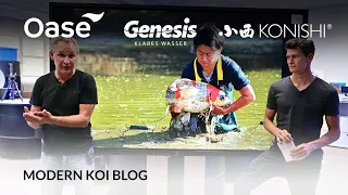 Modern Koi Blog #5338 - Trübung nach Umbau des Bürstenfilters