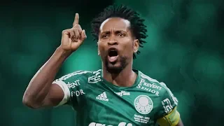 Melhores momentos - Amigos do Zé Roberto 6 x 6 Palmeiras de todos os tempos - Amistoso (13/01/2019)