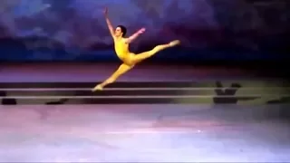 Sergei Polunin "Yellow Bird"