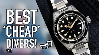 TEN of the BEST DIVE WATCHES for UNDER £500!