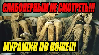 ПОГРАНИЧНИКИ БЕЖАЛИ В СТР.АХЕ ОТ УВИДЕННОГО! ТО, ЧТО СЛУЧИЛОСЬ НА ГРАНИЦЕ КОРЕИ Ш.ОКИРОВАЛО ВСЕХ!