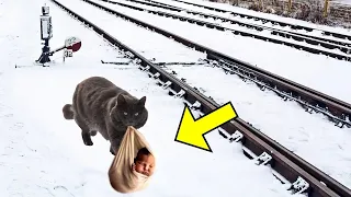 An Abandoned Baby Was Found Between The Rails By A Cat. What He Did Next Left Everyone In Awe