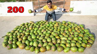 How Much Water in 200 Green Coconuts? 200 हरे नारियल में कितना पानी निकलेगा?