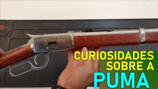 Curiosidades Sobre a Carabina Puma - Review Completo - CONFIRA!🔥