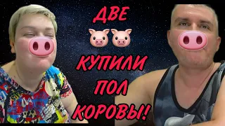 ДВЕ  🐽 КУПИЛИ ПОЛ ТЕЛЁНКА.  ПИРАТСКАЯ ЖИЗНЬ. ОБЗОР.