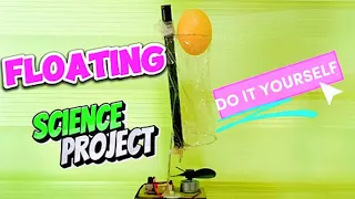 Float or Sink - Cool Science Experiment | EASY SCIENCE EXPERIMENTS TO DO AT HOME