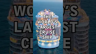The Worlds Largest Cruise Ship Makes 30,000 Meals Per Day #shorts