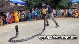 विषैले सापों में दुनिया का सबसे खतरनाक और लंबा सांप, जिसे देख कर रुह कांप उठती हैं King cobra rescue
