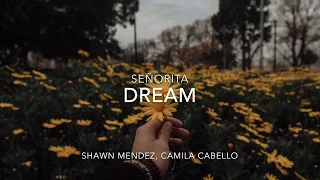 Shawn Mendez, Camila Cabello - Señorita (DJ Tronky Bachata Remix)