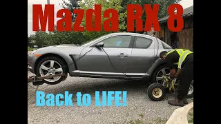 Mazda RX8 Bringing it back to life! (Sitting for years)