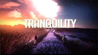 Tranquility | Chillstep Mix 2020 (2 Hours)