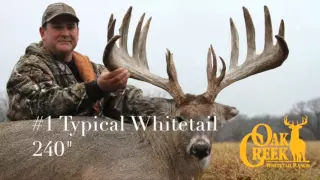 Oak Creek Whitetail Ranch Monster Buck Promo