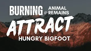 Burning Animal Remains Attract Hungry BIGFOOT  | BIGFOOT ENCOUNTERS PODCAST Over 1 Hour