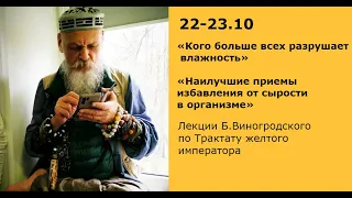 Б.Виногродский: лекция «Кого больше всех разрушает влажность» |Трактат Желтого Императора