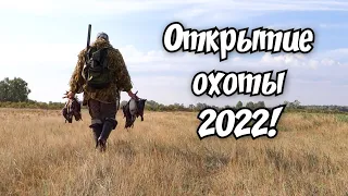 ОТКРЫТИЕ ОХОТЫ 2022!!! ОХОТА НА УТКУ! #открытиеохоты2022 #охотанаутку