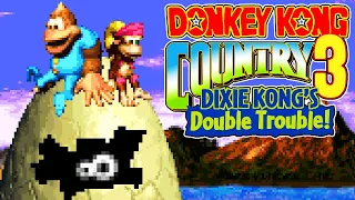 Donkey Kong Country 3: Dixie Kong's Double Trouble! - Full Game - No Damage 103% Walkthrough