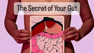 Hack Your Health  The Secret of Your Gut