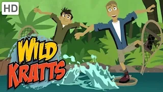 Wild Kratts - Animals Make a Splash 💦 | Kids Videos