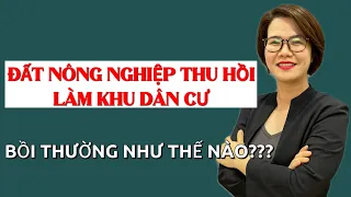 Thu hồi đất nông nghiệp làm khu dân cư, được bồi thường thế nào? | Đoàn Dung