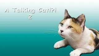 A Talking Cat!?! sequel trailer