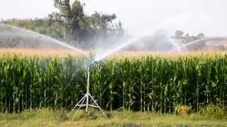 DuCaR JET35 - Corn irrigation - 2