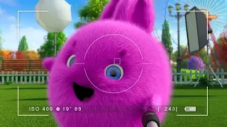 Sunny Bunnies | Big Boo and the Selfie Stick | COMPILATION | Videos For Kids