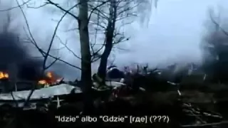 Как под Смоленском добивали польское правительство в 2010 году