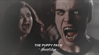 the puppy pack | handclap