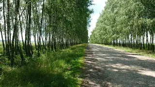 Велопокатушка Маліївці 💦 🚴