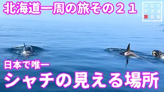 【知床 羅臼】夏の北海道一周の旅 その２１　日本で唯一シャチの見える場所【知床クルーズ 知床遊覧船】