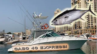 ULTIMATE FISHING BOAT- CABO 40 EXPRESS!