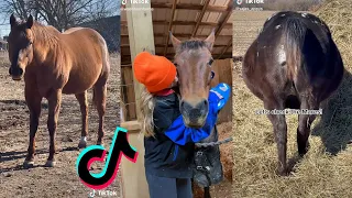 Satisfying Mares TikTok Compilation 2022 #51