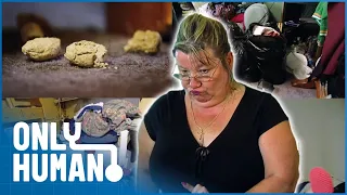 This House Is Filled With Dog Poop & Piles Of Garbage | Kim’s Rude Awakenings | Only Human
