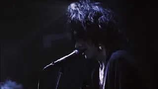 Plastic Tree - テトリス [Tetris] [Boys Don't Cry Live Part 2]