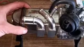 #010(1) Review of cooler exhaust gas recirculation Audi,VW (bug,bks)