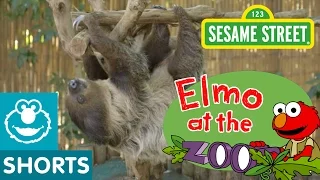 Watch these Baby Animals Move! (Elmo at the Zoo #7)