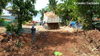 Wonderful Plan 5TON Truck Pouring Stone & D20P Dozer Working Pushing Building Road Connect To River