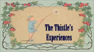 The Thistle’s Experiences — Hans Christian ANDERSEN