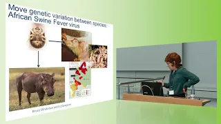 Genome editing in farmed animals: a valuable opportunity?