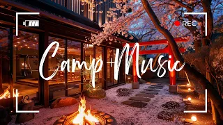 Japanese Shrine Chillout Music | Serenity and Healing with Koto and Shamisen Relaxation, Work, Focus